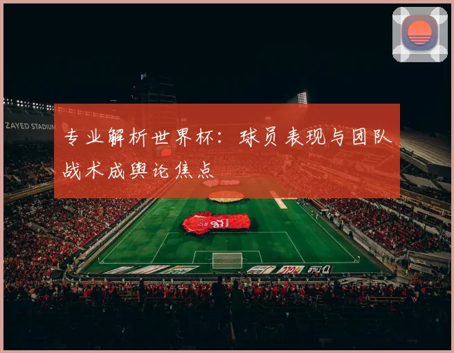 专业解析世界杯：球员表现与团队战术成舆论焦点