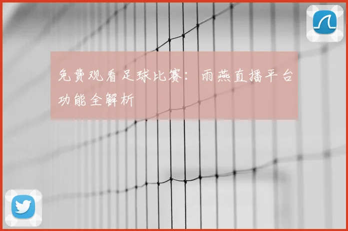 免费观看足球比赛：雨燕直播平台功能全解析